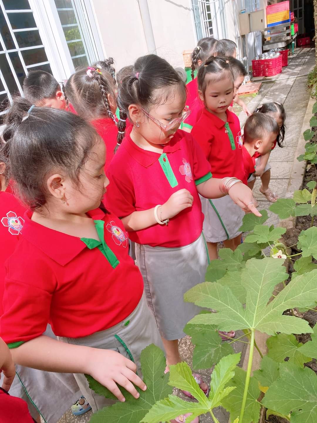 https://hoaphuongdorachgia.edu.vn/be-ra-tham-vuon-rau%f0%9f%a5%b0/